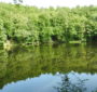 Rezerwat “Jar rzeki Raduni” został włączony w obszar Europejskiej Sieci Ekologicznej Natura 2000