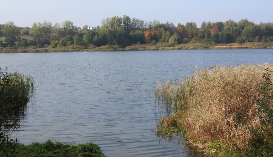 Jezioro Jasień w Gdańsku.