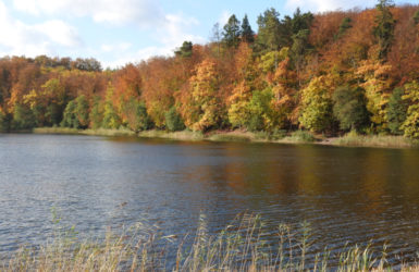 Jezioro Otomińskie - jedno z najciekawszych jezior z okolic Gdańska.