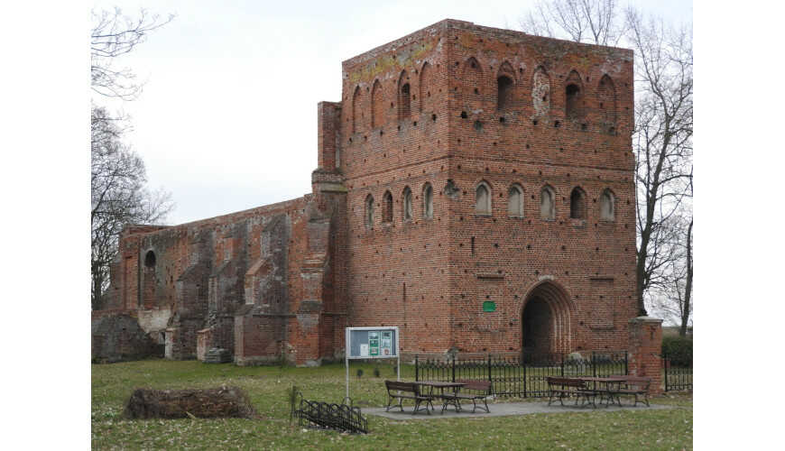 Ruiny kościoła w Steblewie na Żuławach Gdańskich.