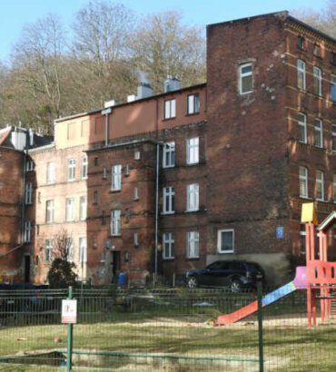 Zaroślak w Gdańsku.