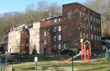 Zaroślak w Gdańsku.