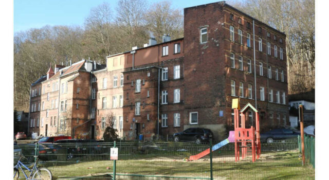 Zaroślak w Gdańsku.