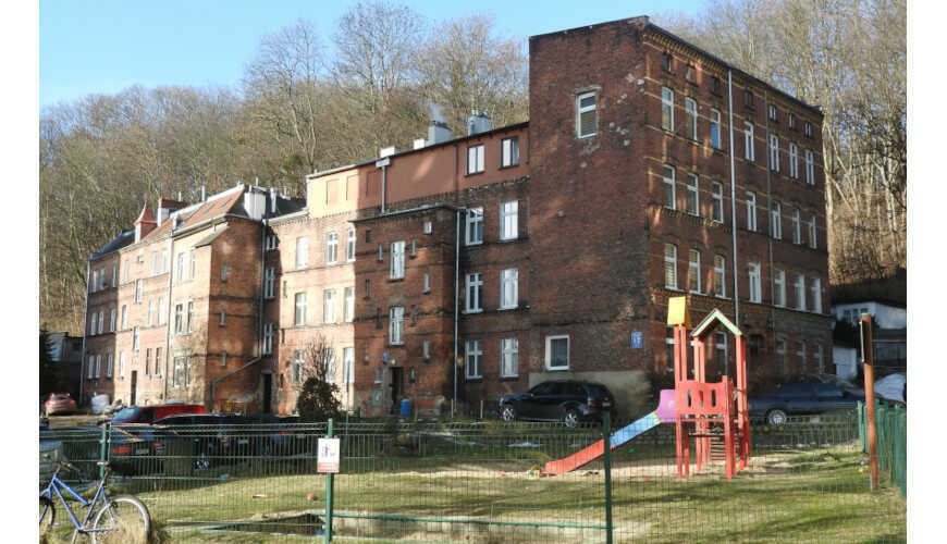 Zaroślak w Gdańsku.