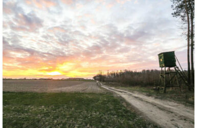 Termowizja myśliwska