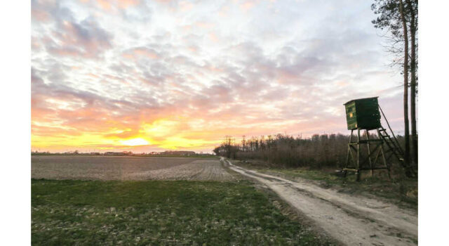 Termowizja myśliwska