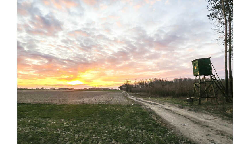 Termowizja myśliwska