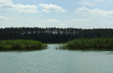 Jezioro Borzechowskie Wielkie.