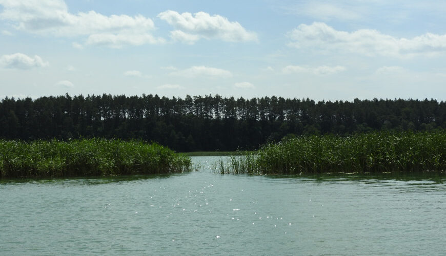 Jezioro Borzechowskie Wielkie.